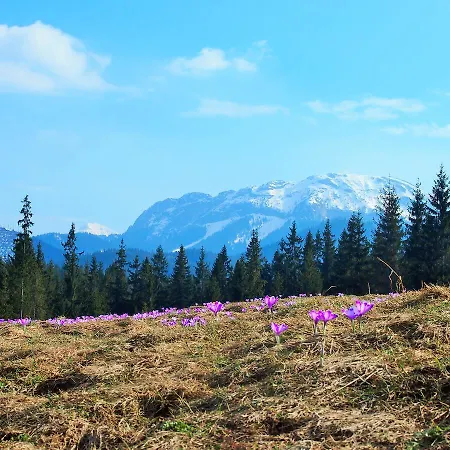 Dziko Hanka Chalé Kościelisko