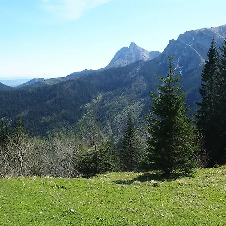 Dziko Hanka 코스실리스코