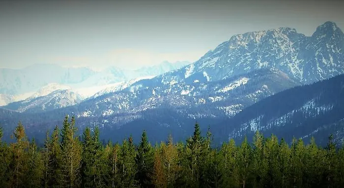 شاليه Dziko Hanka كوشتيليسكا