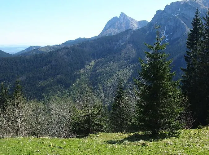 Dziko Hanka كوشتيليسكا